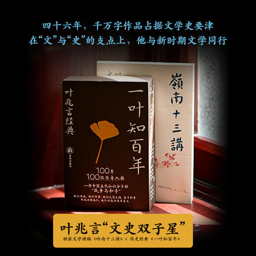 岭南十三讲：叶兆言文学讲稿 商品图5