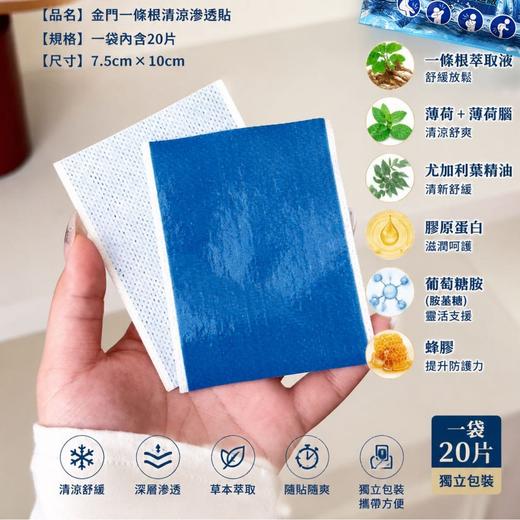 【一贴舒缓 久贴不闷】盛禄荣 一条根清凉渗透贴 膏体凝聚 不易外溢 20片/袋 商品图1