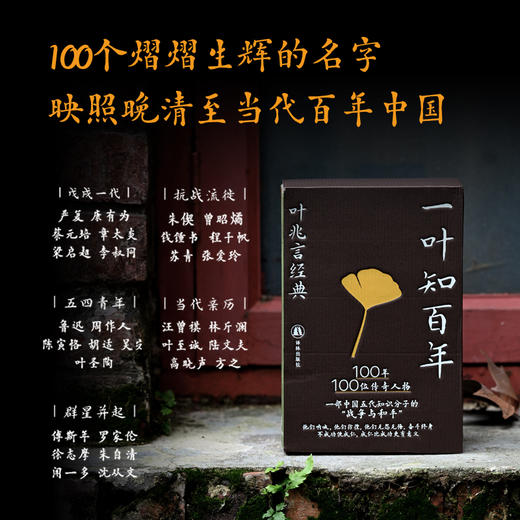 一叶知百年·叶兆言经典 商品图1