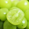 顺丰空运【云南大理宾川🍇双拼/三拼】特级妮娜皇后&阳光玫瑰&蓝宝石葡萄 商品缩略图5