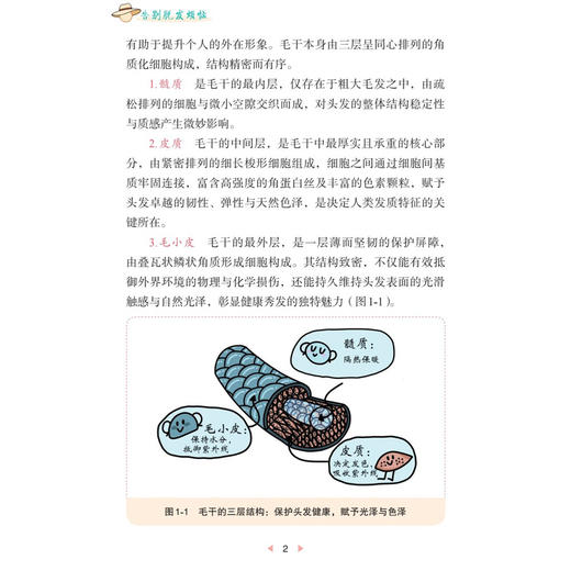 告别脱发烦恼 吕小岩 陈小玫 面向正受脱发困扰或头发健康的青年及中老年人群 皮肤科毛发专科医师及全科医生提供参考 科学出版社 商品图4
