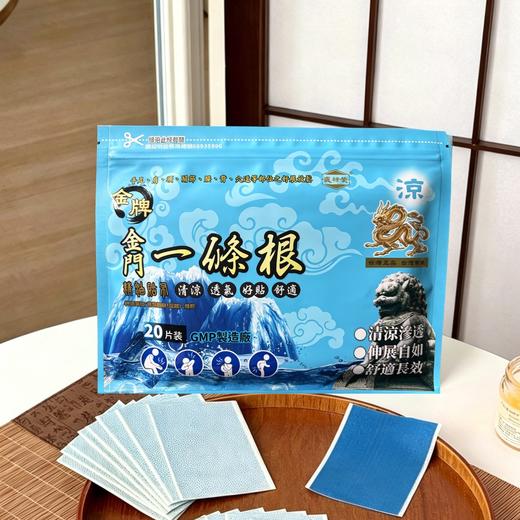 【一贴舒缓 久贴不闷】盛禄荣 一条根清凉渗透贴 膏体凝聚 不易外溢 20片/袋 商品图0