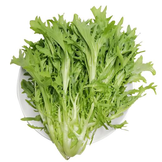 【YMHR】苦菊  健身轻食 商品图2