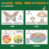 自然的形状 DK全新科普典藏百科精装全彩 商品缩略图2