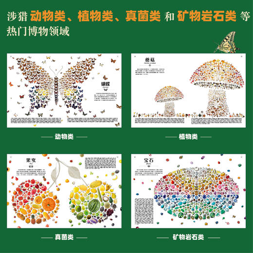 自然的形状 DK全新科普典藏百科精装全彩 商品图2