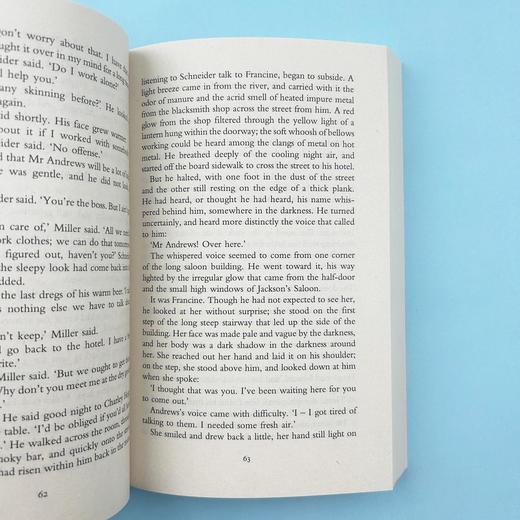 屠夫十字镇 英文原版小说 Butcher's Crossing 英文版进口原版英语经典文学书籍 约翰威廉斯 Vintage Classics 正版可搭斯通纳 商品图4