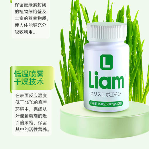 【日本原装进口】 Liam 麦绿素  每粒富含600uSOD 16.8g/瓶 商品图1