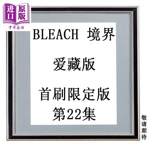 预售 【中商原版】漫画 BLEACH 境界 爱藏版 首刷限定版 第22集 久保帯人 死神 台版漫画书 东立出版 商品图0
