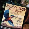 翠鸟谋杀案（全两册）喜鹊、猫头鹰谋杀案续作 安东尼霍洛维茨英剧侦探悬疑推理小说书 新星出版社 午夜文库 商品缩略图1