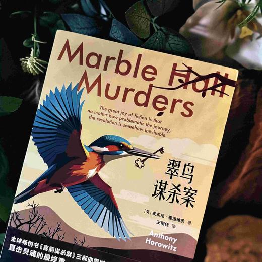 翠鸟谋杀案（全两册）喜鹊、猫头鹰谋杀案续作 安东尼霍洛维茨英剧侦探悬疑推理小说书 新星出版社 午夜文库 商品图1