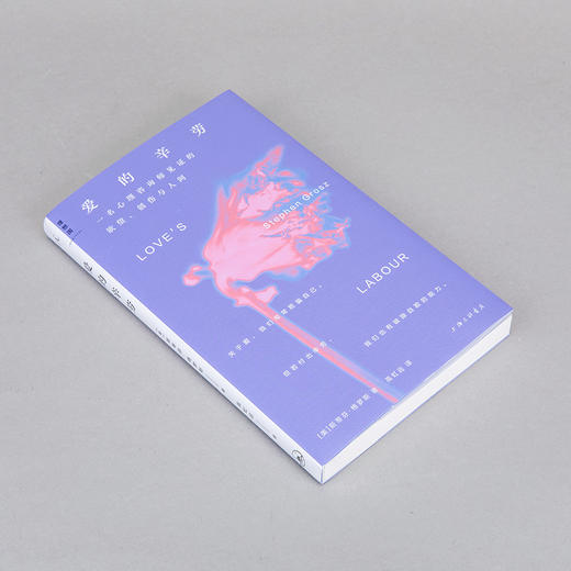 爱的辛劳 ：一名心理咨询师见证的欲望、创伤与人间 商品图3