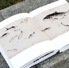 【特惠】《画吾自画：湖南省博物馆藏齐白石绘画作品展》，精装，8开，湖南省博物馆编，岳麓书社2020年一版一印，308页，雅昌精印，定价360，特惠价148元。 商品缩略图5