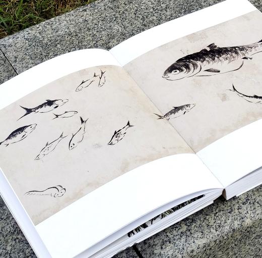 【特惠】《画吾自画：湖南省博物馆藏齐白石绘画作品展》，精装，8开，湖南省博物馆编，岳麓书社2020年一版一印，308页，雅昌精印，定价360，特惠价148元。 商品图5
