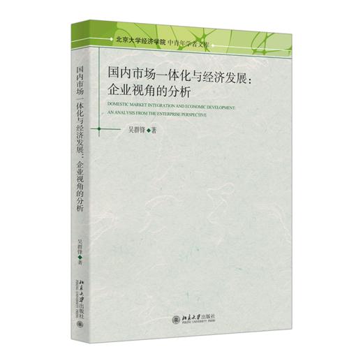 国内市场一体化与经济发展：企业视角的分析 吴群锋 著  北京大学出版社 商品图0