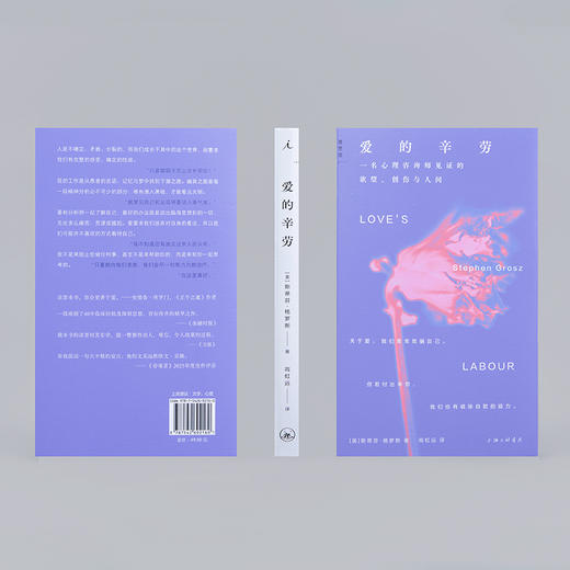 爱的辛劳 ：一名心理咨询师见证的欲望、创伤与人间 商品图4