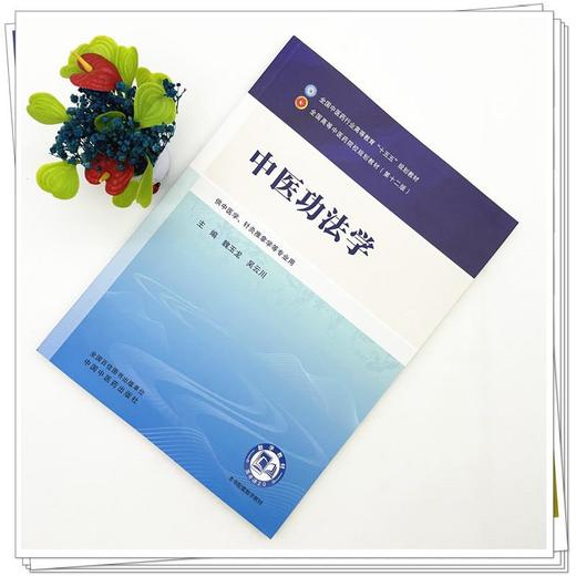 中医功法学 魏玉龙 吴云川 全国中医药行业高等教育十五五规划教材第十二版 供中医学、针灸推拿学等专业用 中国中医药出版社 商品图2