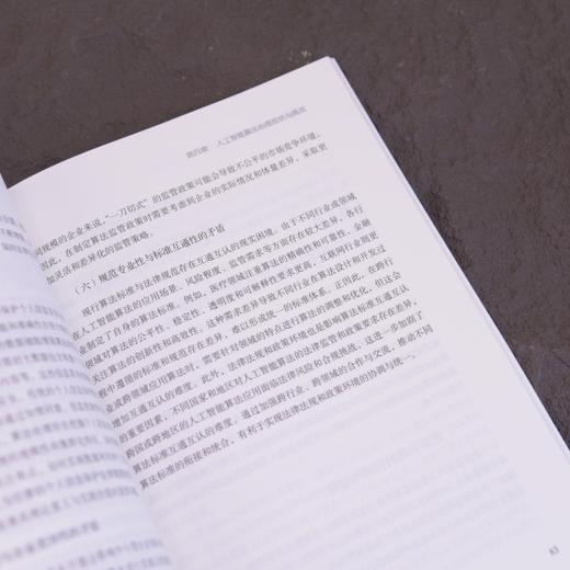 智能时代的算法治理 大模型技术与合规实践 大模型* 大模型开发 商品图2