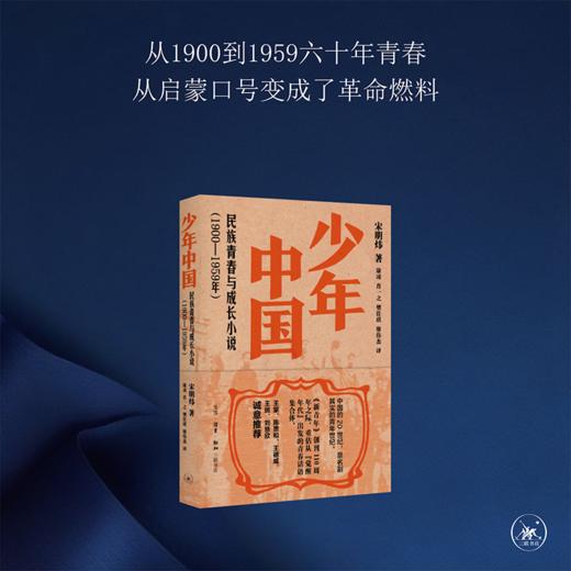 少年中国 民族青春与成长小说1900—1959年 商品图2