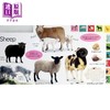【中商原版】DK启蒙农场工作 My First Farm Let's Get Working 英文原版 儿童纸板书 认知识物 亲子绘本图画书 进口低幼童书 商品缩略图4