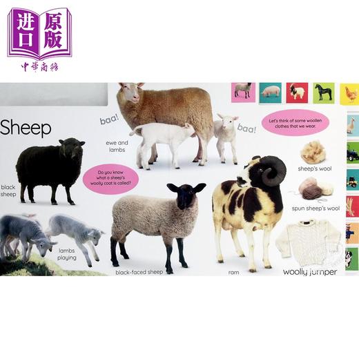 【中商原版】DK启蒙农场工作 My First Farm Let's Get Working 英文原版 儿童纸板书 认知识物 亲子绘本图画书 进口低幼童书 商品图4
