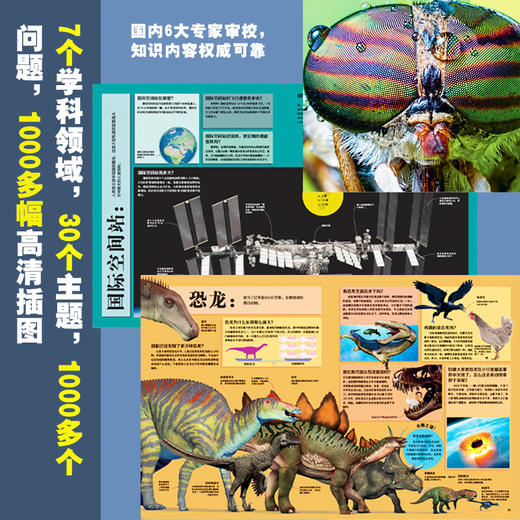 【DK百科  精装】DK百科全书：1000个惊奇的你问我答含自然科学宇宙历史人文生命等 商品图2