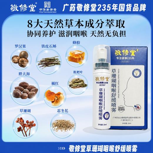 【235年老字号品牌】敬修堂 草珊瑚咽喉喷雾 喷雾细腻易吸收 20ml/盒 商品图4