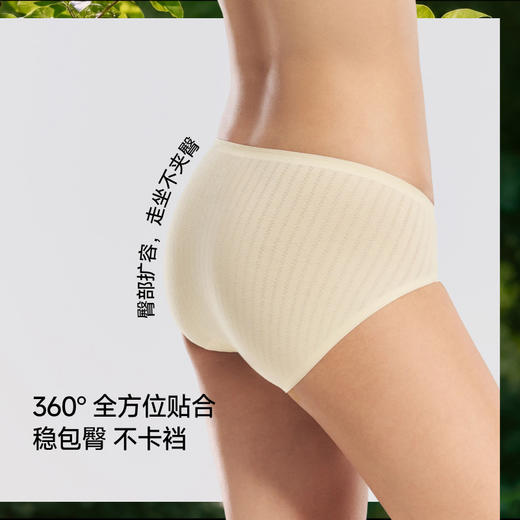 【蕉下精选】蕉下女士抗菌棉质内裤（3条装）CT04926 商品图4