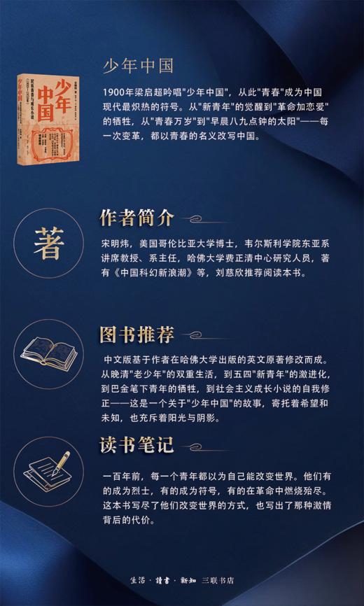 少年中国 民族青春与成长小说1900—1959年 商品图3
