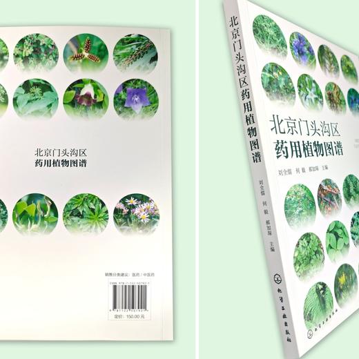 北京门头沟区药用植物图谱 商品图3