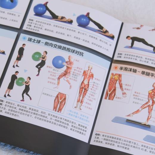 核心稳定性训练解剖挂图 商品图4