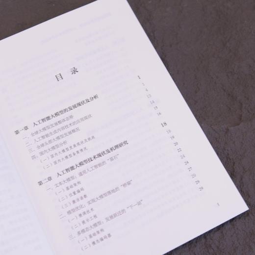 智能时代的算法治理 大模型技术与合规实践 大模型* 大模型开发 商品图1