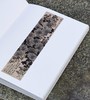 【特惠】《画吾自画：湖南省博物馆藏齐白石绘画作品展》，精装，8开，湖南省博物馆编，岳麓书社2020年一版一印，308页，雅昌精印，定价360，特惠价148元。 商品缩略图7