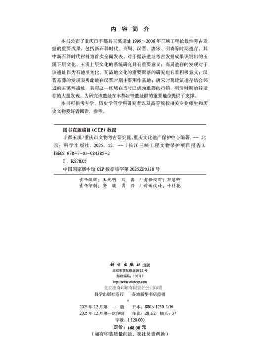 丰都玉溪 重庆市文物考古研究院 重庆文化遗产保护中心 9787030843852 商品图2