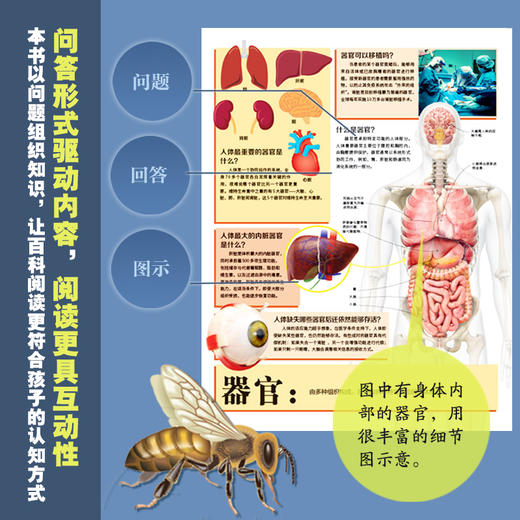 【DK百科  精装】DK百科全书：1000个惊奇的你问我答含自然科学宇宙历史人文生命等 商品图4