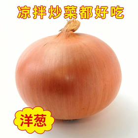 【YMHR】黄洋葱  脆甜可口