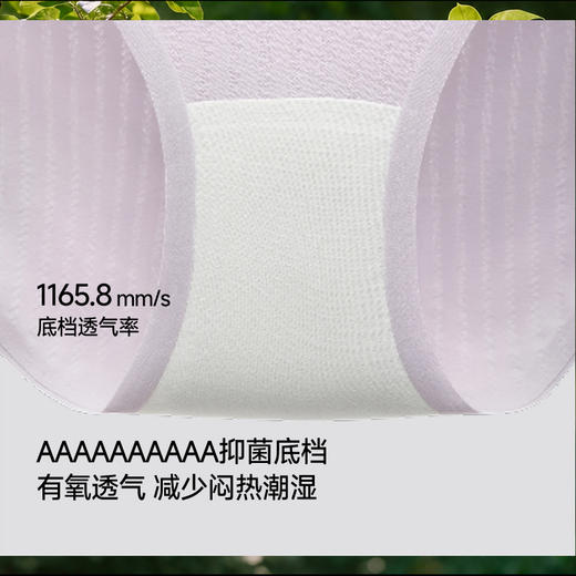 【蕉下精选】蕉下女士抗菌棉质内裤（3条装）CT04926 商品图2