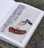 【特惠】《画吾自画：湖南省博物馆藏齐白石绘画作品展》，精装，8开，湖南省博物馆编，岳麓书社2020年一版一印，308页，雅昌精印，定价360，特惠价148元。 商品缩略图8