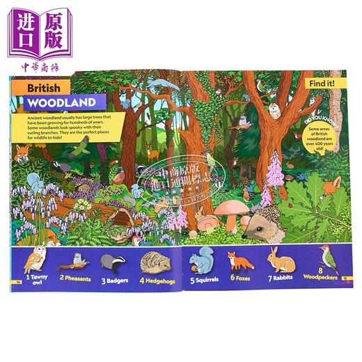 【中商原版】美国国家地理儿童版 动物Find It! Explore It! Animals 英文原版 儿童科普 知识百科 Geographic Kids 3-8岁 商品图4