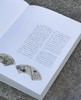 【特惠】《画吾自画：湖南省博物馆藏齐白石绘画作品展》，精装，8开，湖南省博物馆编，岳麓书社2020年一版一印，308页，雅昌精印，定价360，特惠价148元。 商品缩略图2