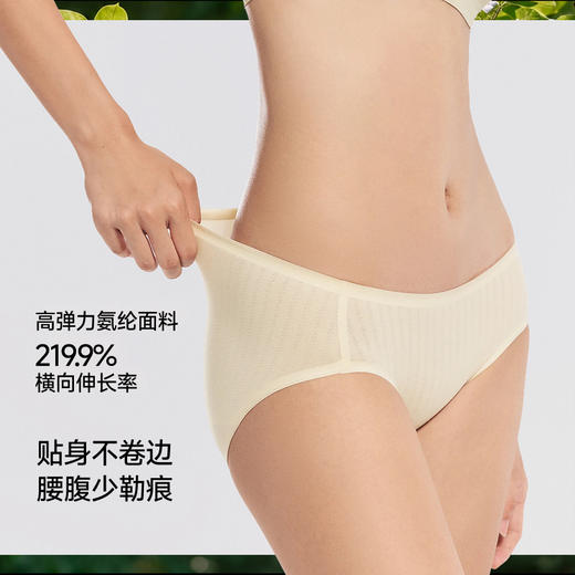 【蕉下精选】蕉下女士抗菌棉质内裤（3条装）CT04926 商品图3