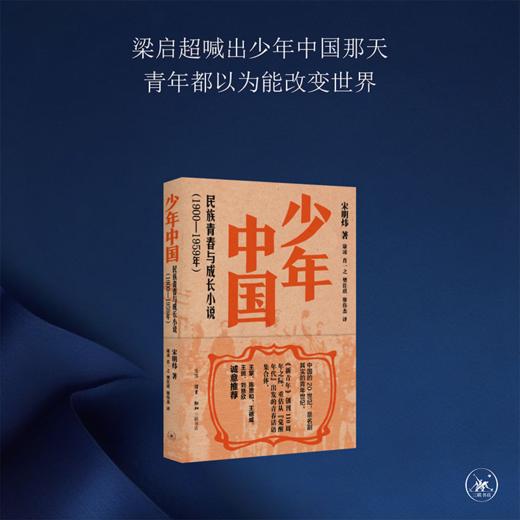 少年中国 民族青春与成长小说1900—1959年 商品图0