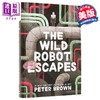 【中商原版】荒野机器人2 精装 机器人的逃跑计划 The wild robot escapes 英文原版 Peter Brown 凯迪克奖得主 荒岛机器人 商品缩略图0