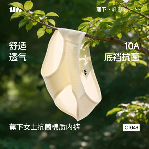 【蕉下精选】蕉下女士抗菌棉质内裤（3条装）CT04926 商品图0