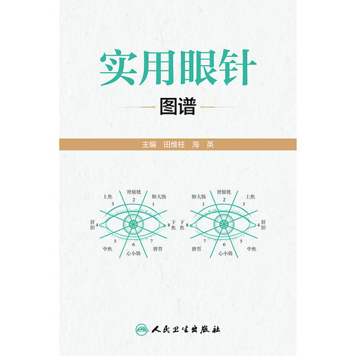 【预售】实用眼针图谱 商品图1