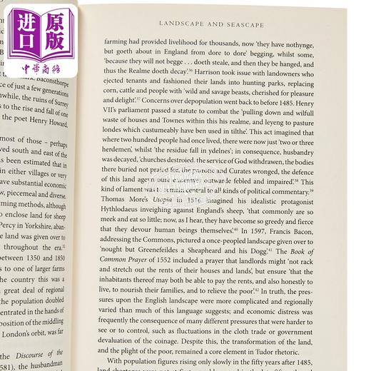 【中商原版】都铎王朝英格兰 历史 英文原版 Tudor England A History Lucy Wooding 露西 伍丁 商品图2