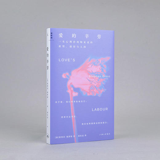 爱的辛劳 ：一名心理咨询师见证的欲望、创伤与人间 商品图2