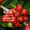 【新品尹烨推荐】华大精品咖啡豆新鲜烘焙手冲花魁耶加雪菲阿拉比卡豆美式意式 商品缩略图1