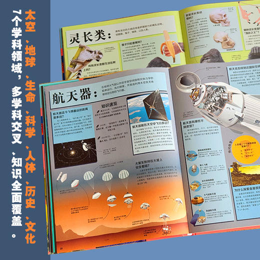 【DK百科  精装】DK百科全书：1000个惊奇的你问我答含自然科学宇宙历史人文生命等 商品图3