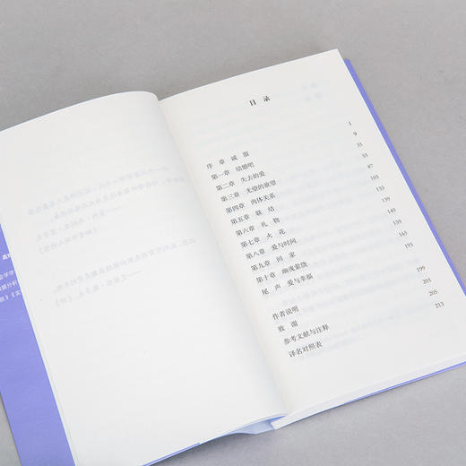 爱的辛劳 ：一名心理咨询师见证的欲望、创伤与人间 商品图7
