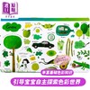 英文原版 Usborne Big Book of Colours 孩子的色彩启蒙全书 颜色识别 11大色系130余种颜色 早教启蒙认知 艺术启蒙童书 纸板书 商品缩略图2